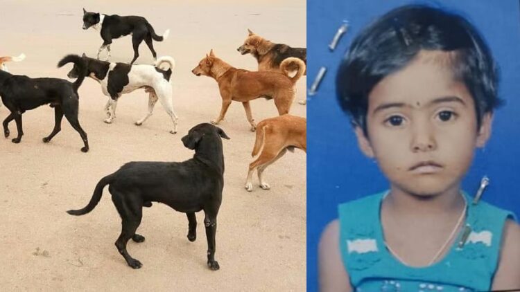 ತುಮಕೂರಿನಲ್ಲಿ ಬೀದಿ ನಾಯಿಗಳ ದಾಳಿಗೆ ಕಂದಮ್ಮ ಬಲಿ – 6 ವರ್ಷದ ಬಾಲಕಿ ದಾರುಣ ಅಂತ್ಯ Kandamma dies after being attacked by stray dogs in Tumkur – 6-year-old girl dies a tragic death