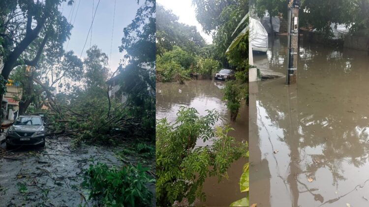 ರಾಜಧಾನಿಯಲ್ಲಿ ಧಾರಾಕಾರ ಮಳೆ: ರಸ್ತೆ ಮೇಲೆ ಮರಗಳ ಪತನ, ಸಂಚಾರ ಅಸ್ತವ್ಯಸ್ತ Heavy rains in the capital: Trees fall on roads, traffic disrupted
