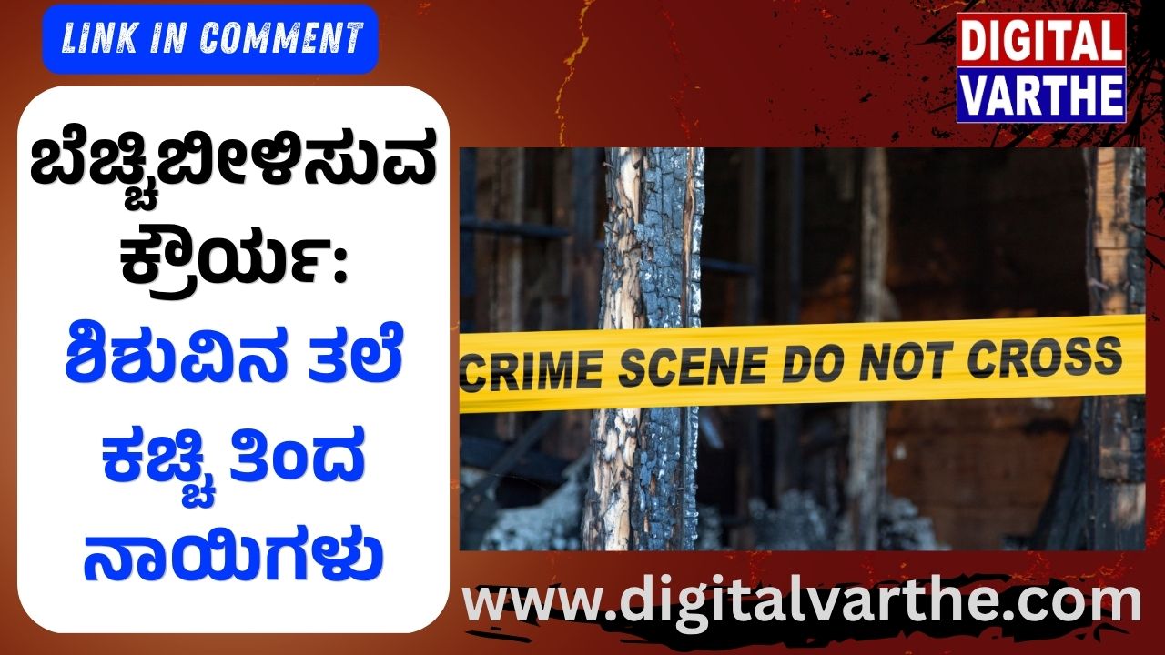 ಬೆಚ್ಚಿಬೀಳಿಸುವ  ಕ್ರೌರ್ಯ: ಶಿಶುವಿನ ತಲೆ ಕಚ್ಚಿ ತಿಂದ ನಾಯಿಗಳು