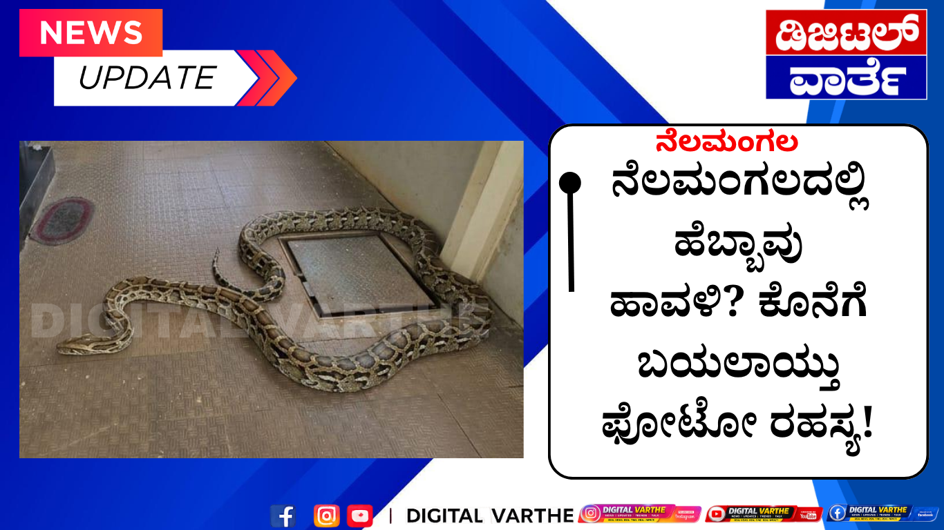 ನೆಲಮಂಗಲದಲ್ಲಿ ಹೆಬ್ಬಾವು ಹಾವಳಿ? ಕೊನೆಗೆ ಬಯಲಾಯ್ತು ಫೋಟೋ ರಹಸ್ಯ!