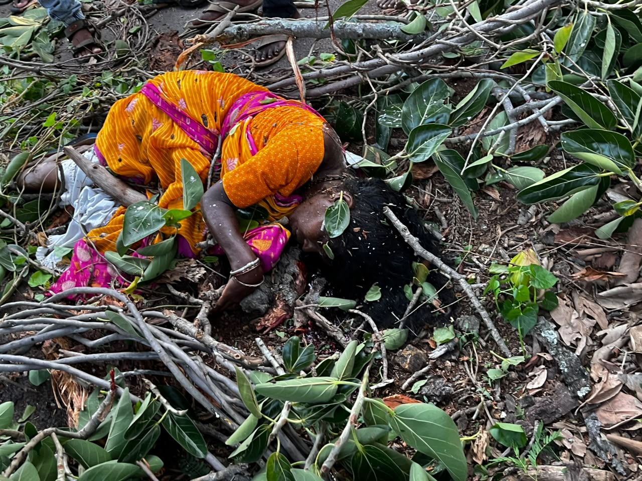 ಆಲದ ಮರ ಬಿದ್ದು ಮಹಿಳೆ ಸಾ**ವು