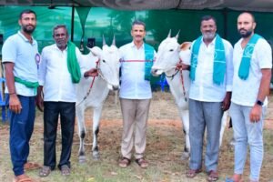 ಹಳ್ಳಿಕಾರ್ ತಳಿ ಜಾತಿಯ ಹೋರಿಗಳನ್ನು ಬೆಳೆಸಿ ಉಳಿಸಲು ಸರ್ಕಾರ ಪ್ರೋತ್ಸಾಹ ನೀಡಬೇಕು ರೈತ ಸಂಘದ ಮುಖಂಡ ಹೊಸಕೋಟೆ ಬಸವರಾಜು